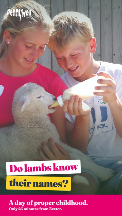 Some days stay with them. Bottle feeding a goat before lunch. Cuddling a piglet until it falls asleep. Pennywell is family-run, on the edge of Dartmoor, and we limit tickets every day so it never feels crowded. Every activity is included.