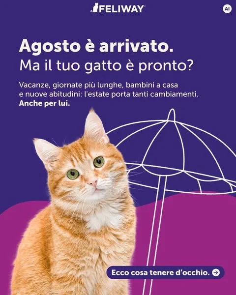 Agosto porta con sé vacanze, giornate più lunghe e nuove abitudini. 

Ma mentre per noi è sinonimo di relax, per i gatti può essere un periodo ricco di cambiamenti.

Una casa più movimentata, orari diversi dal solito o la tua assenza possono influenzare la loro routine quotidiana. Per questo è importante aiutarli a mantenere punti di riferimento familiari e spazi in cui sentirsi al sicuro.

Scorri il carosello per scoprire come supportare il benessere del tuo gatto durante l'estate e aiutarlo ad affrontare la stagione con maggiore serenità. 💜🐾