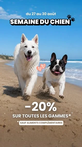 -20% sur toutes les gammes !
