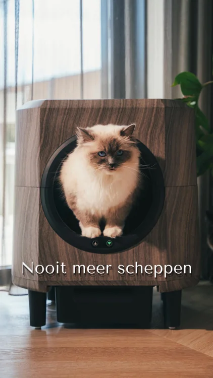 Beperkte oplage