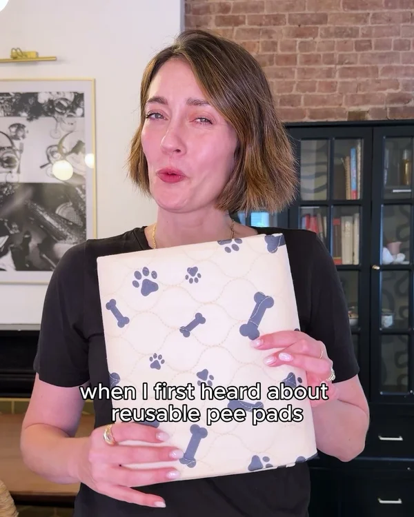 The Last Pee Pad You'll Ever Buy
