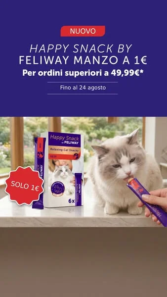 Fino al 24 agosto