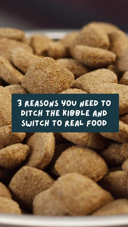 Designed By Nutritionists