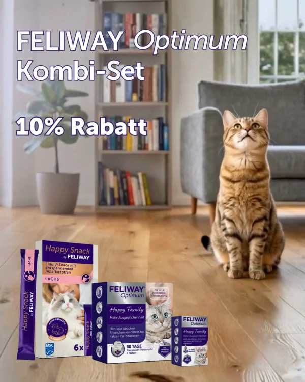Kennenlernpaket 🐱 zum Vorteilspreis 🙌🏻