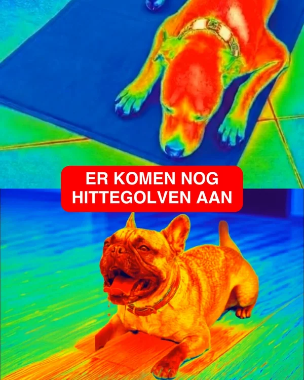 1+1 GRATIS Matten + GRATIS kussen & deken! 🎁