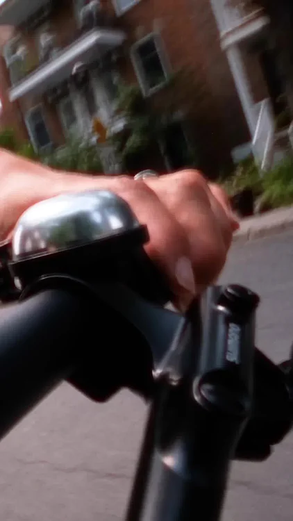 Transportez tout, roulez facilement