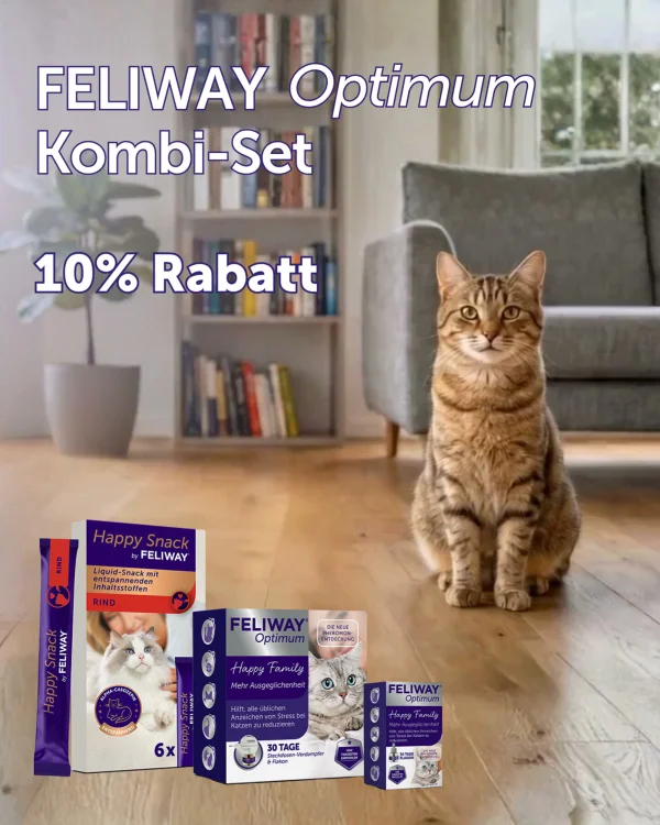 Kennenlernpaket 🐱 zum Vorteilspreis 🙌🏻