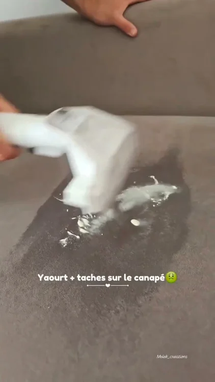 Regarde ce qui sort du canapé 😳