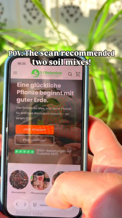 Rated 4.8/5 on Trustpilot (⭐ 5000+)