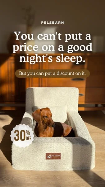 Sleep better and feel closer to your dog every day