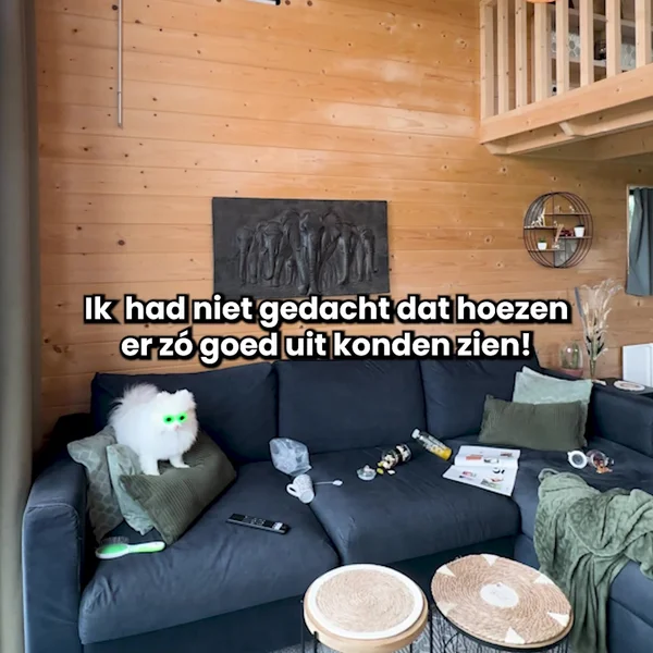 👉 Bekijk zelf hoe makkelijk het werkt